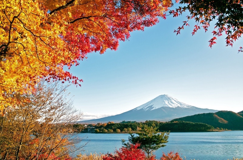 autumn, 1080P, Leaf, non-urban scene, Volcanoes, day, snow, Japan, change, outdoors, cold temperature, tranquil scene, tranquility, sky, nature, lake