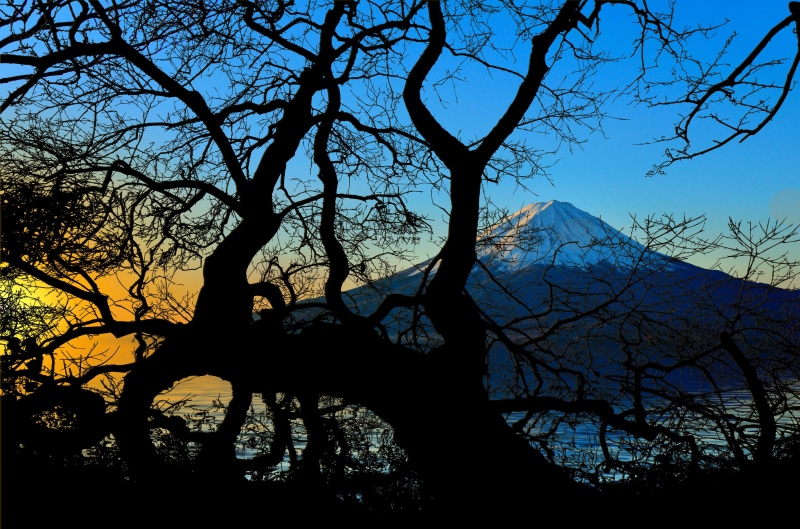 fujiyama, sky, branch, tranquil scene, cloud - sky, mountain, volcano, low angle view, beauty in nature, kahl, tree, bare tree, land, sunrise, sunset, silhouette