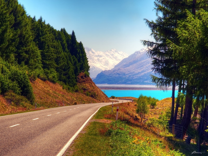 forest, clear, grass  trees, nature, road, sky  lake, lookout, body of water, asphalt, cook, sky, snow, cyan  blue, nz, scenics, blue, lake pukaki, outdoors