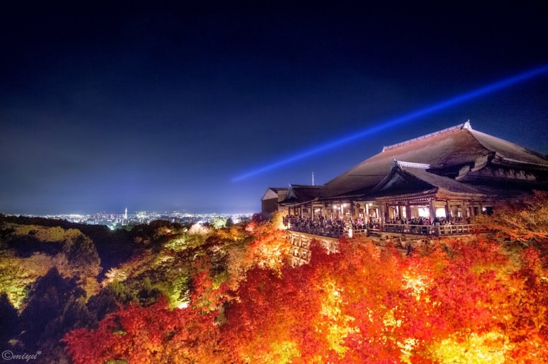 Kiyomizu-Dera, Japan, Illumination, 1080P, Temple, Kyoto, Temples, Night