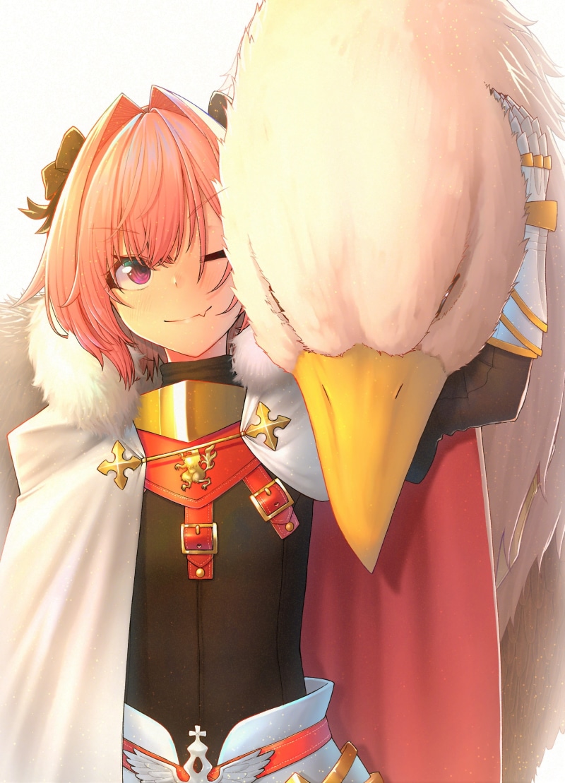 smiling, violet eyes, anime boys, Fate Series, hawk (animal), looking at viewer, Rider of Black (Fate/Apocrypha), multi-colored hair, fan art, 4K, pink hair