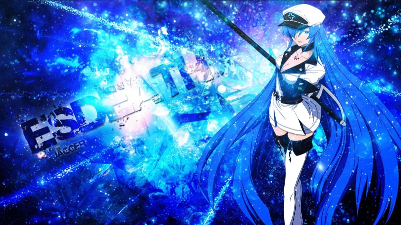 one person, Long Hair, Blue Eyes, night, blue, nature, White Dress, clothing, Esdeath (Akame Ga Kill!), Hat, animal wildlife, leisure activity, Blue Hair
