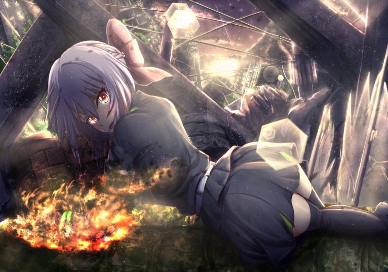 people, animal wildlife, Brown Eyes, fire, outdoors, human representation, real people, Anime, Seraph of the End, animals in the wild, Uniform, representation