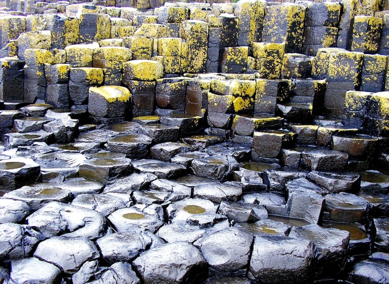Ireland, water, rock formation, 1080P, moss, nature, Giants Causeway, rock