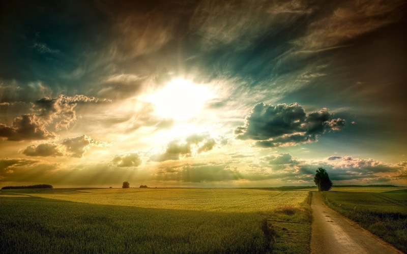 Landscape, Plains, Tree, 1080P, Road, Sky, Rays, Fields, Grass, Sun, Clouds
