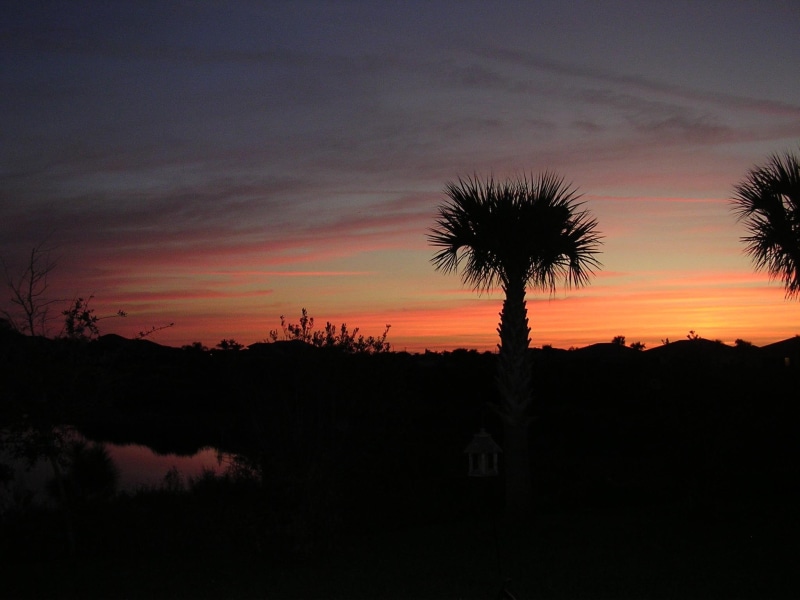 fl, 1080P, 3d and abstract, sunrise