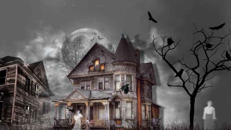 brown, gray, house, Raven, Halloween, Holiday, Dark, Tree, 1080P, Ghost, Haunted House, haunted