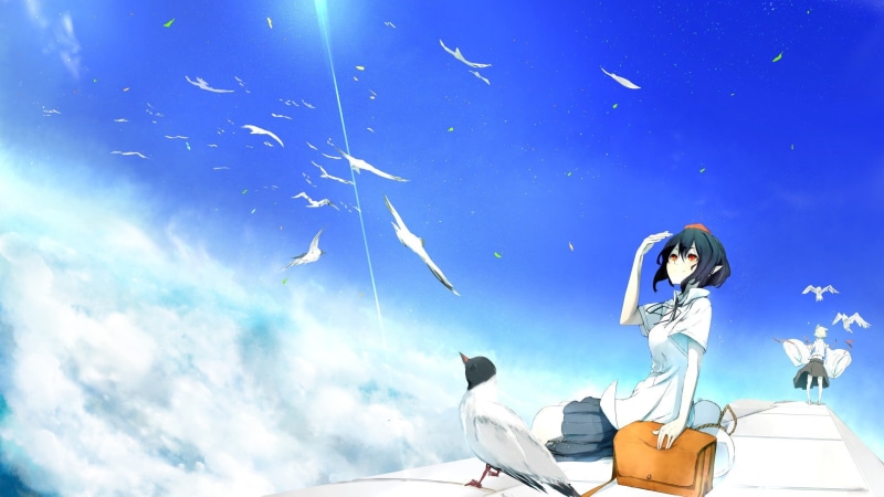 anime girls, Touhou, Okamimimi, 1080P, Shameimaru Aya, birds, anime, sky, Inubashiri Momiji, airplane, clouds