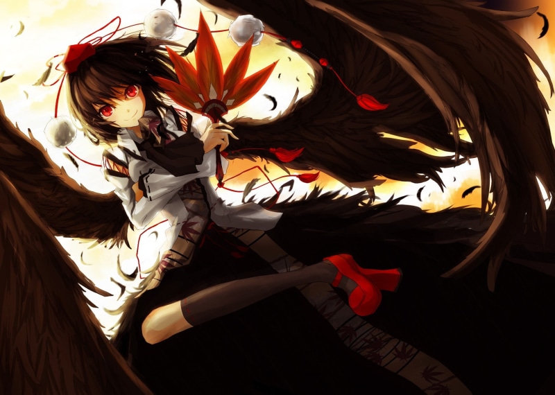 Touhou, hair, high angle view, indoors, flower, feathers, young adult, young women, wings, anime, art and craft, flowering plant, Shameimaru Aya, lifestyles