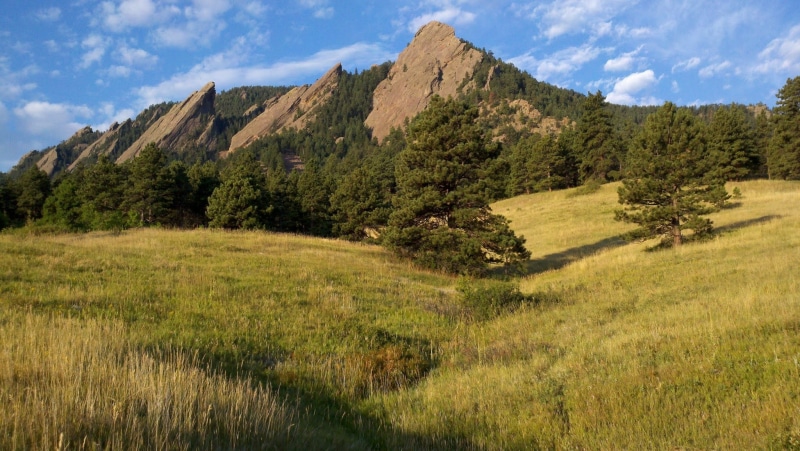 daytime, mountains, front range, plant, 1080P, nature, formation, colorado, mountain range, environment, land, growth, united states, cloud - sky, forest