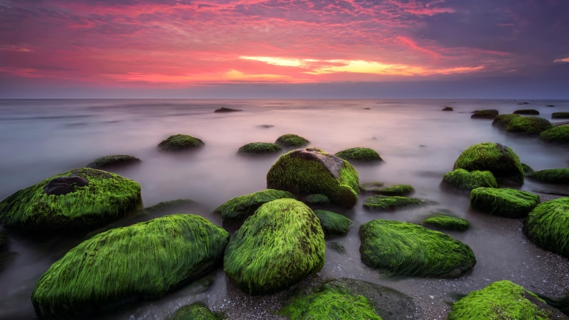 nature, moss, ocean, calm, 5k uhd, boulder, water, 5K, coast, sky, horizon, sea, 5k, rock, shore, landscape, dawn, stones