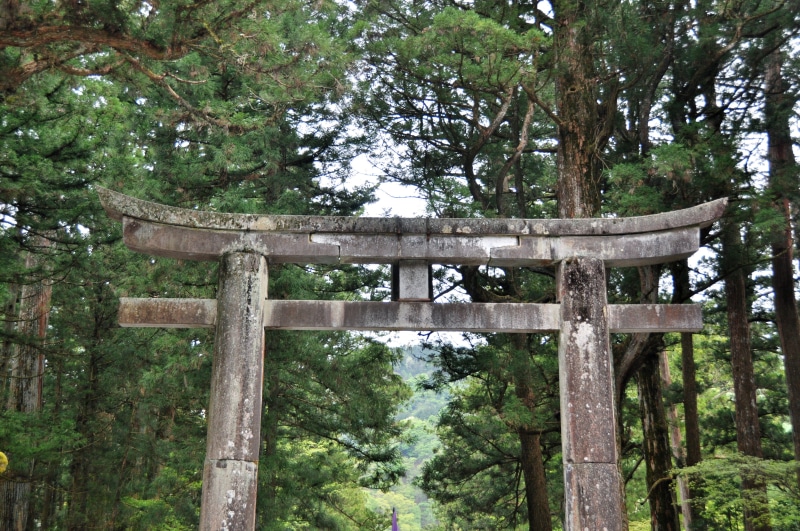 unique, day, gate, no people, religion, Forest, plant, architecture, old, 4K, land, place of worship, built structure, belief, culture, Ancient, tori