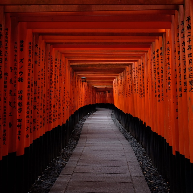 the way forward, built structure, pathway, place of worship, belief, religion, in a row, no people, direction, orange color, diminishing perspective, spirituality