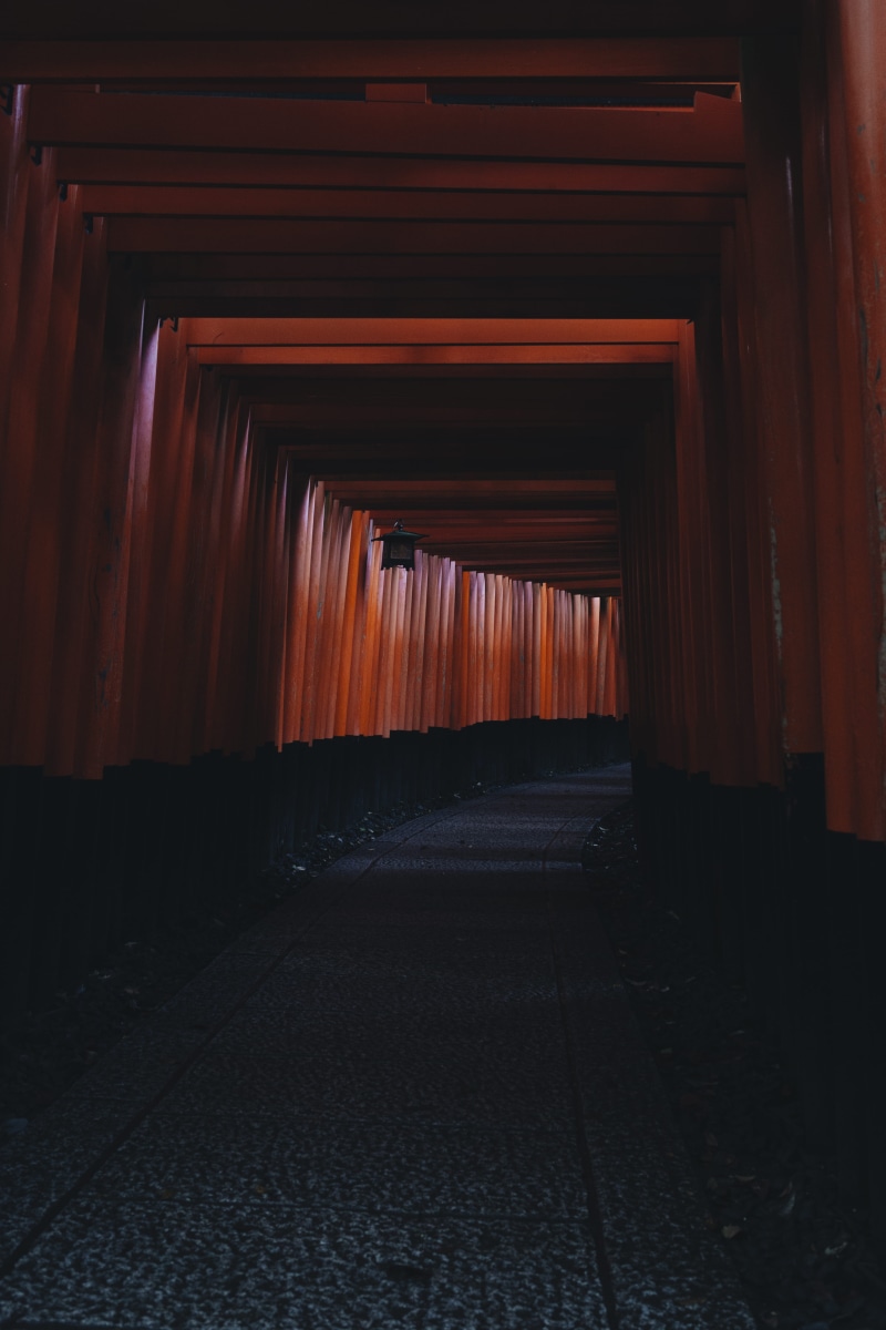 in a row, the way forward, built structure, shrine, diminishing perspective, wood - material, indoors, fushimiinaritaisha, direction, red, travel, wooden