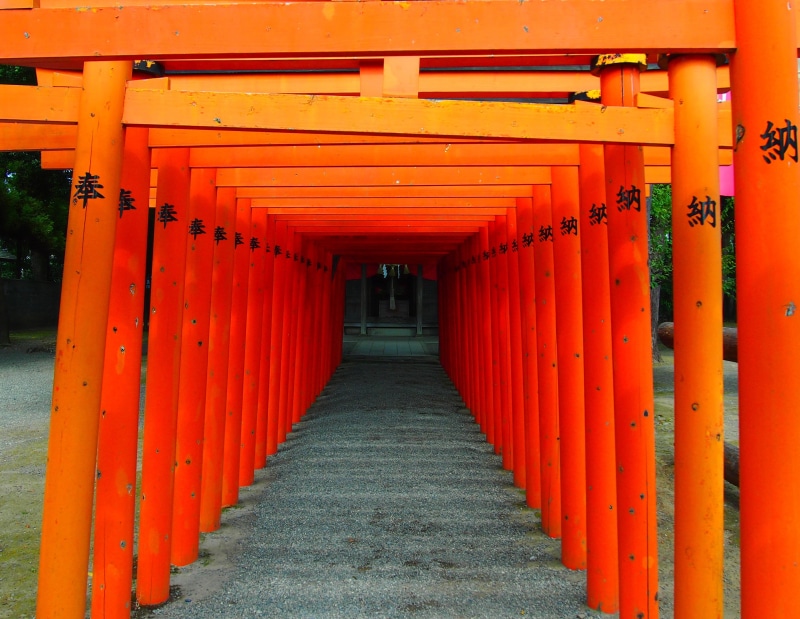 no people, repetition, in a row, architectural column, japan, direction, 2K, day, building, diminishing perspective, tori, footpath, torii, architecture