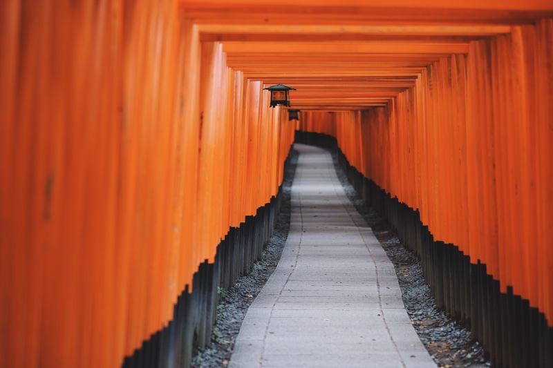 long, diminishing perspective, architectural column, direction, in a row, outdoors, travel, belief, the way forward, tori, architecture, day, religion