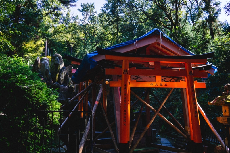 kyoto, built structure, garden, patio, belief, tree, animal, tranquility, 5K, theme park, tori, forest, fushimi inari-taisha, text, field, arbour, pergola
