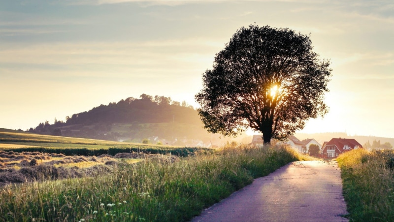 sunset, environment, village, tree, sky, beauty in nature, plant, tranquil scene, nature, house, mode of transportation, direction, scenics - nature