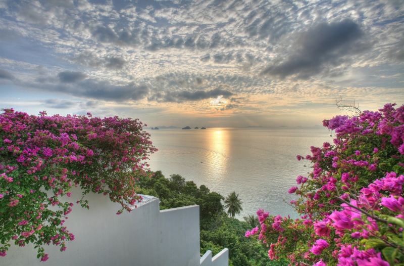 near, leaf, polarizing filter, trees, Gulf of Siam, sky, calm, bougainvillea, HDR, green leaf, Siam Sunset, pink, sunset, leading, white, Thailand, tranquil