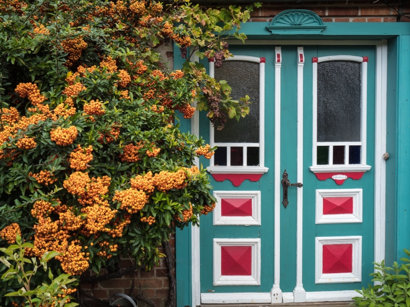 autumn mood, flower, building exterior, teal, no people, day, plant, old wooden door, flower pot, flowering plant, residential district, building, white