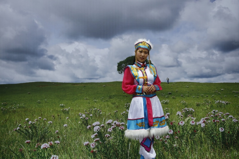 nature, inner beauty, flowering plant, storm cloud, prairie, day, storm, plant, 5K, traditional clothing, outdoors, innocence, grass, flower, inner mongolia