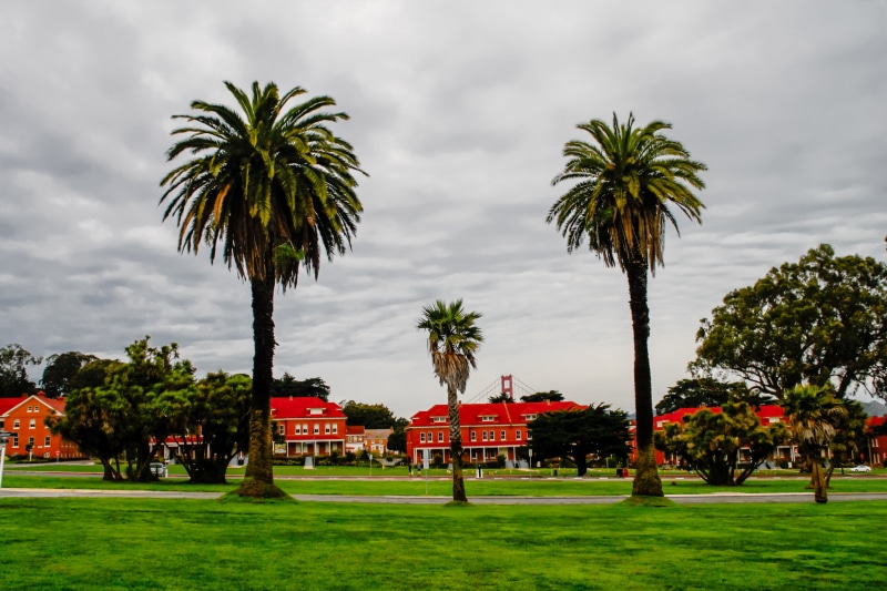 park - man made space, vintage, california, nature, plant, saf francisco, orange, outdoors, sunset, built structure, travel, agriculture, architecture