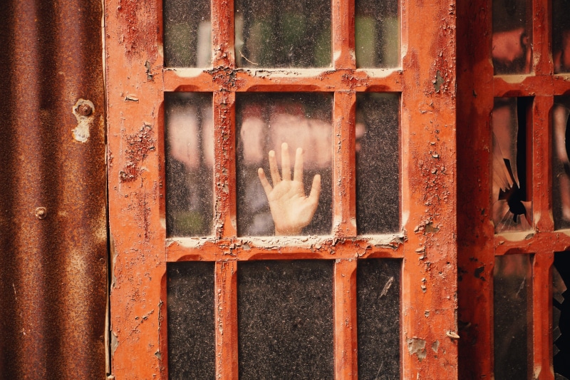 entrance, person, dirty, domestic, GHOST, iron - Metal, gate, red, hand, pets, history, wall - Building Feature, window, frame, door, close-up, one animal