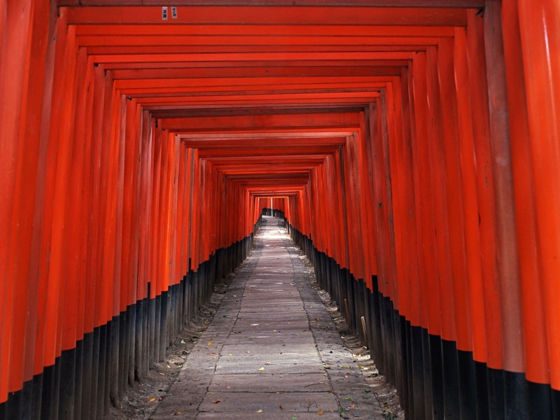 fushimi Inari Shrine, diminishing perspective, belief, the way forward, footpath, wood - Material, built structure, kyoto City, Corridor, travel, gate