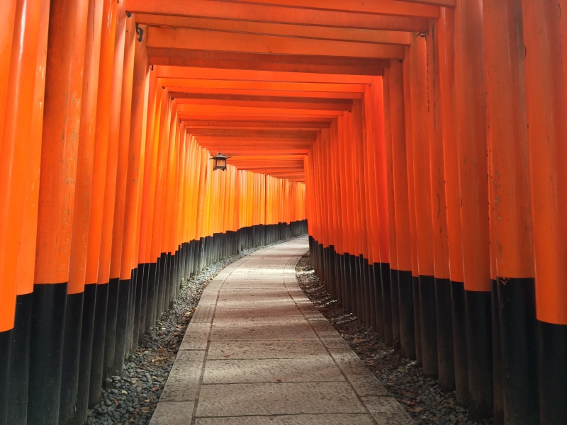 tourism, in a row, colonnade, fushimi Inari Shrine, architecture, built structure, black, place of worship, asia, orange, black metal, red, 2K, belief