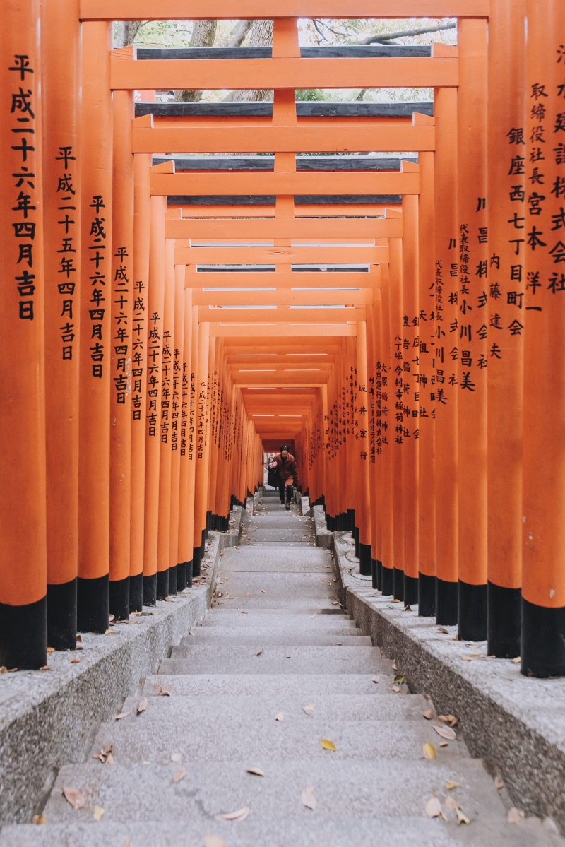 person, architecture, stairs, torii Gate, asia, cultures, history, climbing, 4K, corridor, shrine, orange, pillars, shinto, piler, in A Row, pile, japan