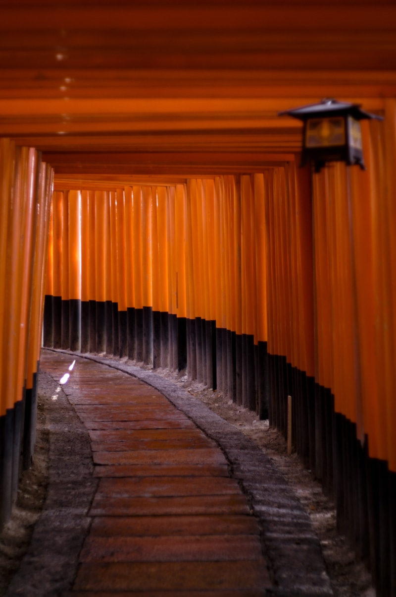 ceiling, shrine, fushimi inari shrine, alcohol, the way forward, no people, red, absence, in a row, asia, built structure, winemaking, orange color, architecture