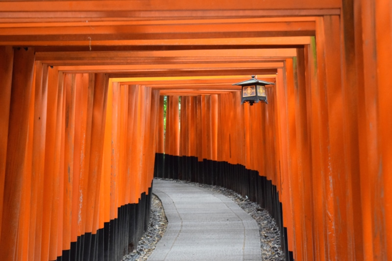 religion, shrine, orange, fushimi inari shrine, kyoto, built structure, footpath, the way forward, building, place of worship, 5K, transportation, architecture