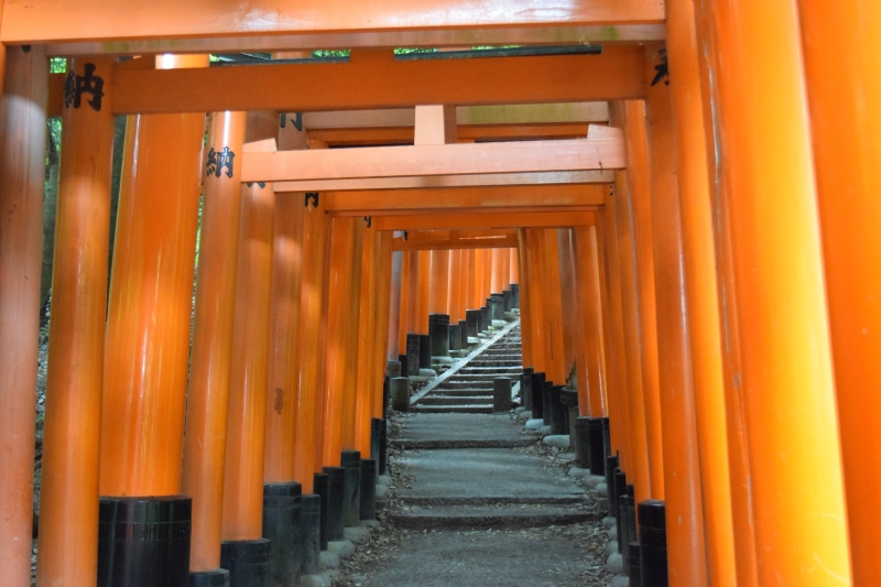 religion, architectural column, fushimi inari shrine, direction, outdoors, spirituality, belief, no people, in a row, kyoto, travel destinations, shrine