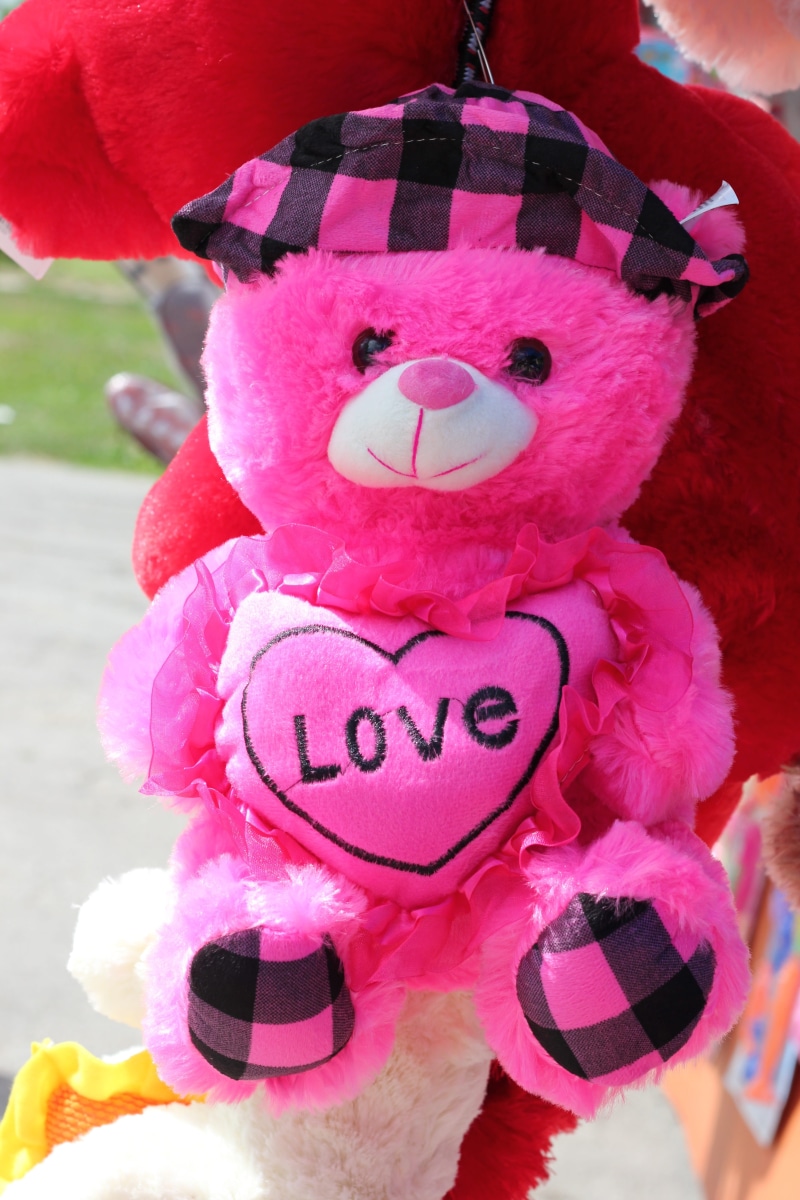 representation, communication, focus on foreground, valentines day - holiday, close-up, western script, colorful, animal representation, holiday, love