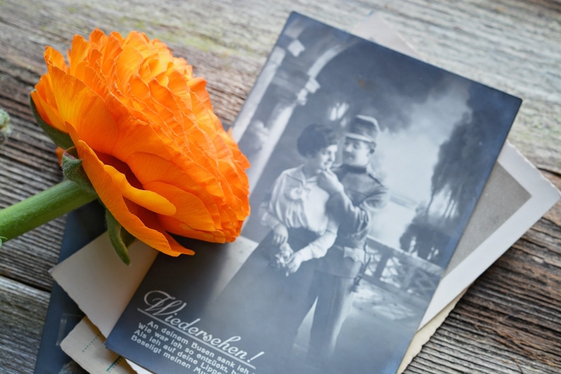 japanese food, orange, indoors, communication, table, close-up, plant, non-western script, lovers, high angle view, book, flower, day, text, bloom, old