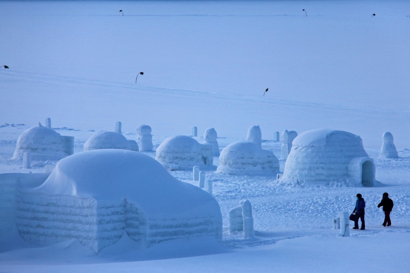 japan, igloo village, environment, igloo, untitled, bird, cold, Frozen, sapporo, group of animals, ice, scenic, hokkaido, beautiful, winter, Lake, 2K