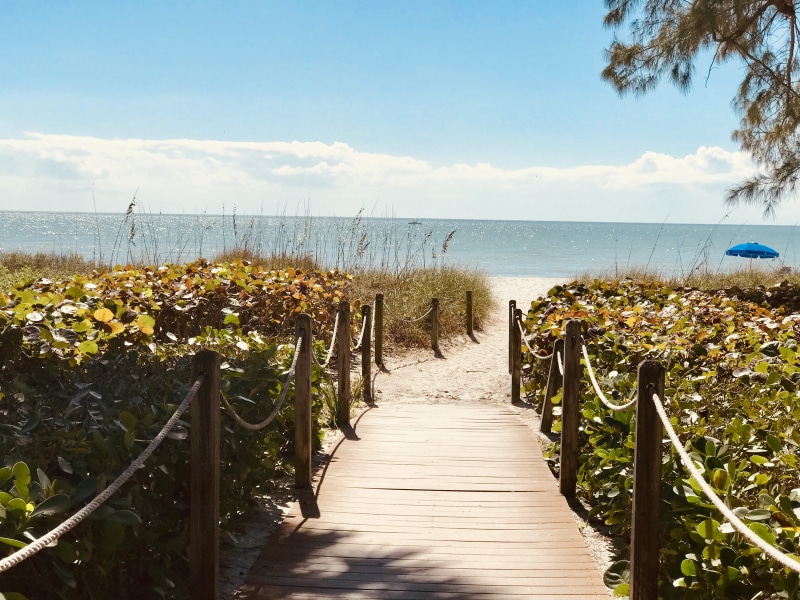 horizon, banister, ocean, waves, waterfront, horizon over water, wood paneling, sunlight, wood - material, bridge, nature, direction, no people, 4K, beauty in nature