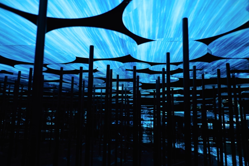 banister, indoors, teamlab borderless, nature, day, art exhibiton, low angle view, city, building, no people, backgrounds, art, technology, outdoors, metal