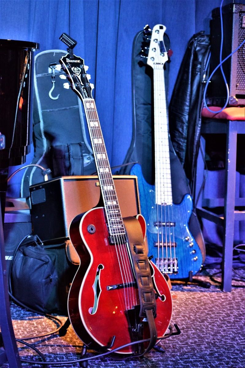 stage, lice, the crypt jazz restaurant, indoors, rest, electric guitar, bass instrument, wall - building feature, cape town, double bass, close-up, break