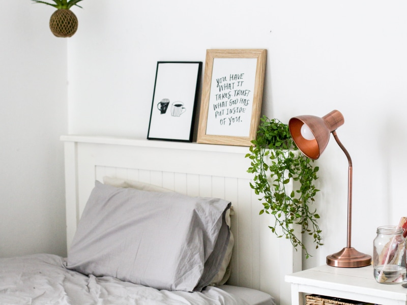 tree, home, living room, publication, table, furniture, room, text, wall, wall - building feature, pillow, potted plant, electric lamp, nature, vine, food