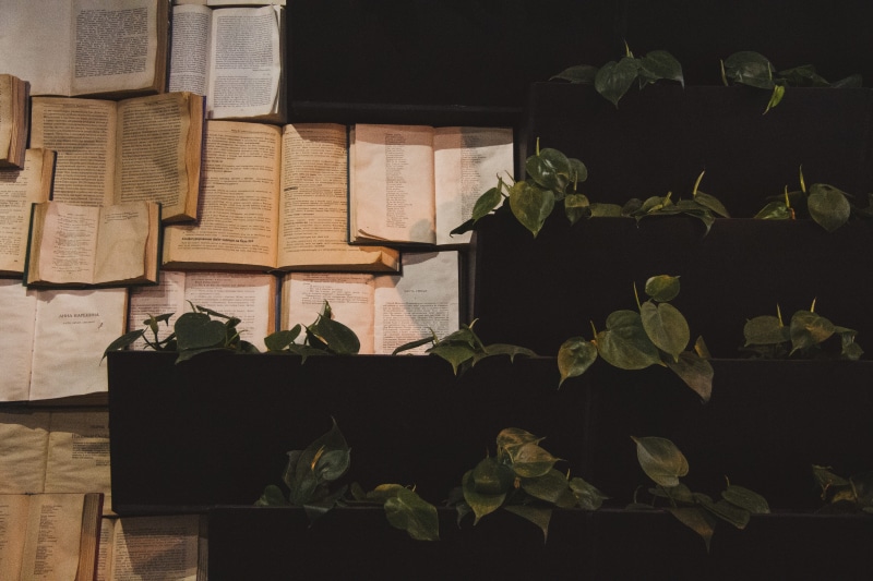 text, ivy, no people, box - container, brick, slate, art, plant, nature, diary, leaf, flower, leafed, paper, silhouette, rose, large group of objects, plant part
