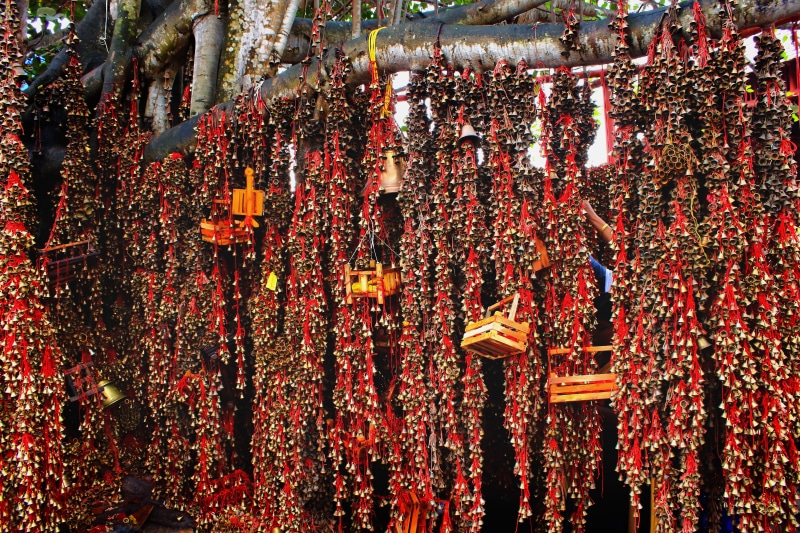 architecture, multi colored, spirituality, flowering plant, rosary, tree, worship, outdoors, plant, hinduism, flower, accessories, day, no people, india