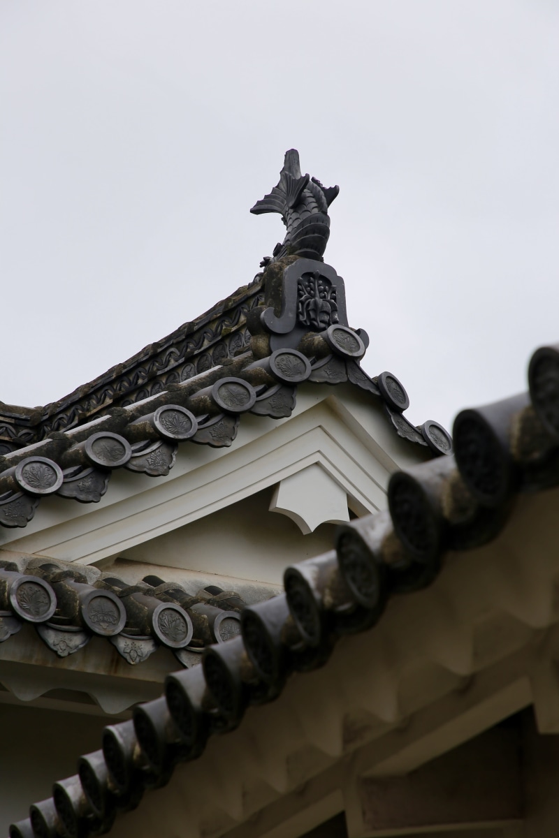 religion, 5K, craft, pigeon, roof, symbol, carving, tower, sculpture, column, roof tile, cross, ornate, steeple, architecture, bird, animal representation