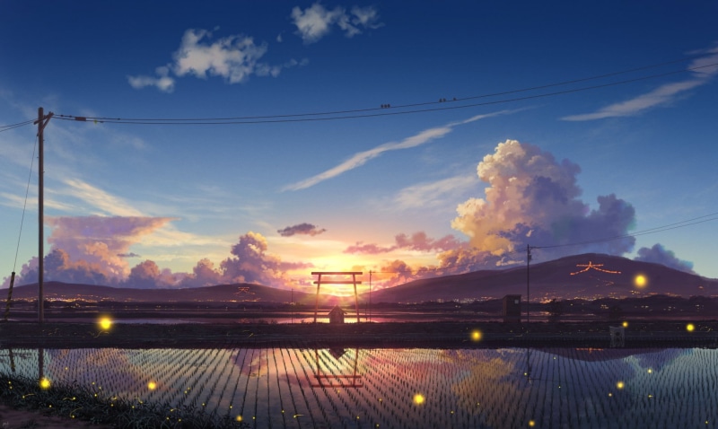 silence, sunset, clouds, posts, torii gate, Japan, rice fields, fireflies, wire, the reflection in the water, road, 1080P, hills, birds