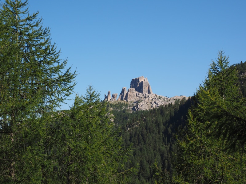 green color, clear sky, growth, outdoors, tree, the falzarego pass, torre seconda, travel destinations, tranquility, day, travel, coniferous tree, mountain