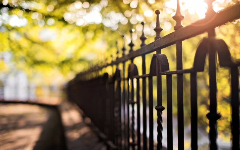 in a row, barrier, protection, focus on foreground, selective focus, wrought iron, leaves, 1080P, sunlight, tree, outdoors, railing, no people, plant