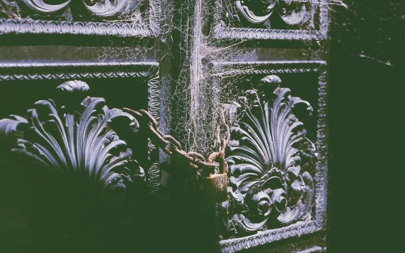 nature, outdoors, creativity, leaf, entrance, wrought iron, art and craft, flower, spider, day, fragility, beauty in nature, horror, plant part, 1080P