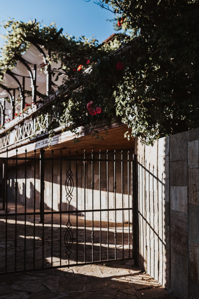 old town, fence, Europe, old, city, 5K, tree, no people, balkan, town, flowering plant, safety, wrought iron, growth, tourism, built structure, boundary