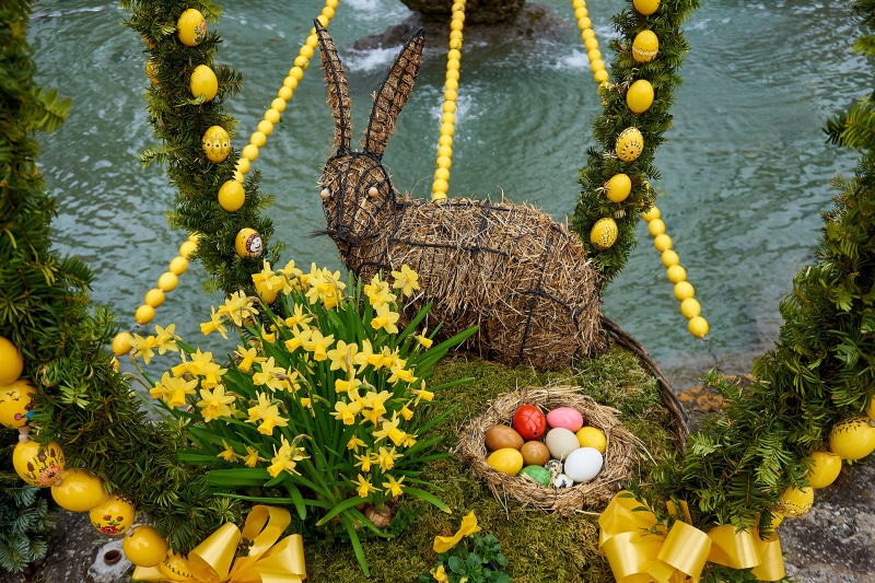 easter greetings, hare, guinness book, outdoors, easter tradition, easter eggs, 5K, flowering plant, happy easter, easter, leaf, food, easter egg, guinness book of records
