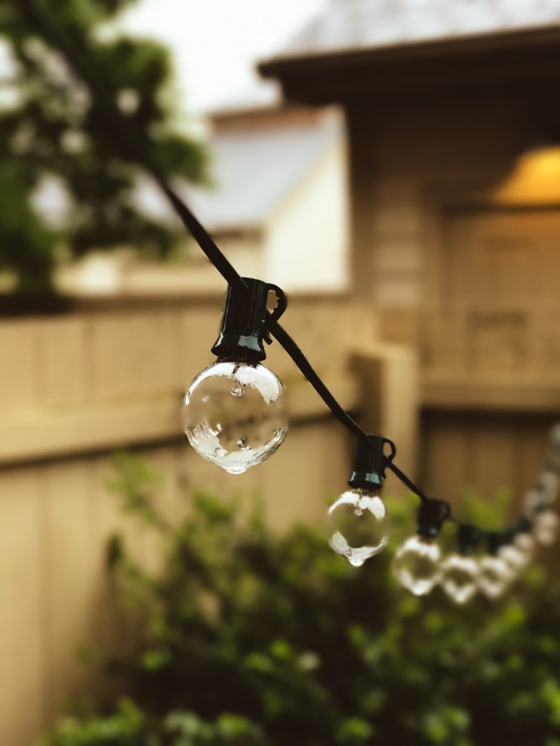 low angle view, outdoors, home, spring, brewery district, cable, growth, close-up, built structure, morning, showers, tree, 4K, plant, city, building